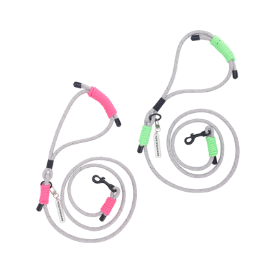 Glow Walk Leash