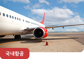 국내항공
