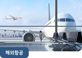 해외항공