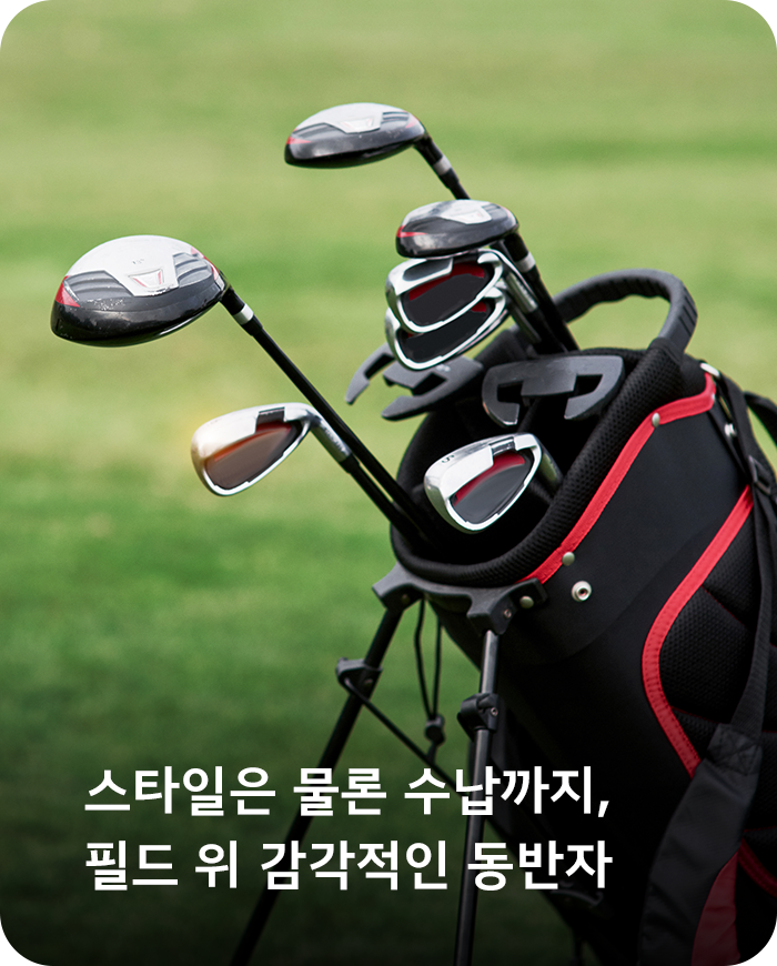 골프백