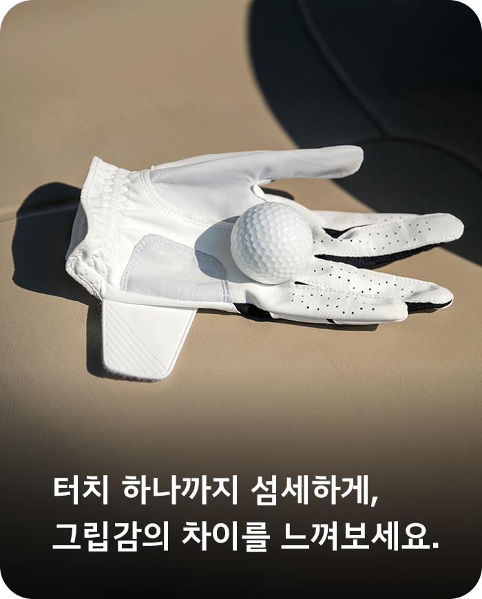 골프장갑