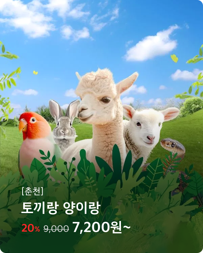 토끼랑양이랑