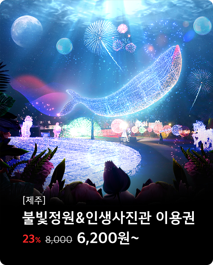 불빛정원&인생사진관