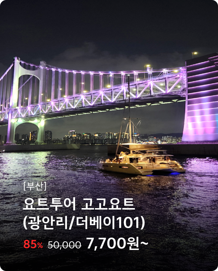 부산 요트투어