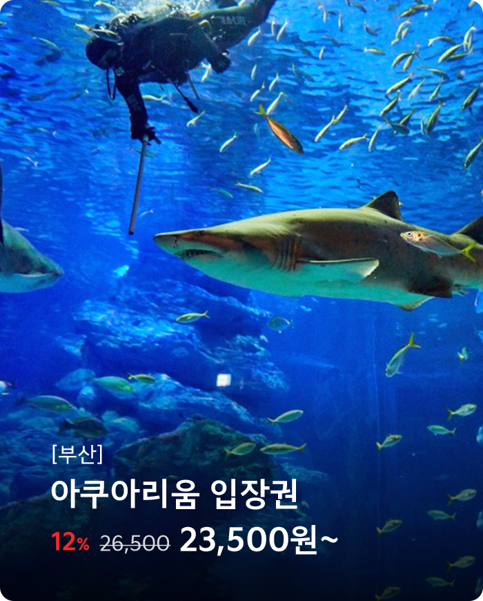 부산 아쿠아리움